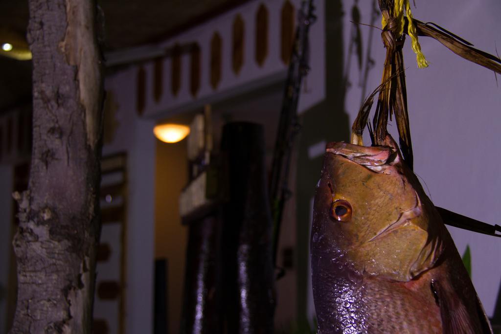 Alvi Star Inn Thulhaadhoo Exterior photo